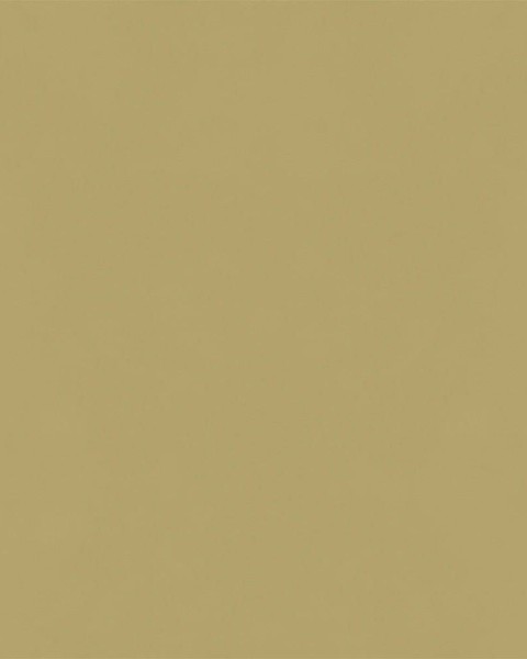 Hatte Me! Palette | 42 Camel